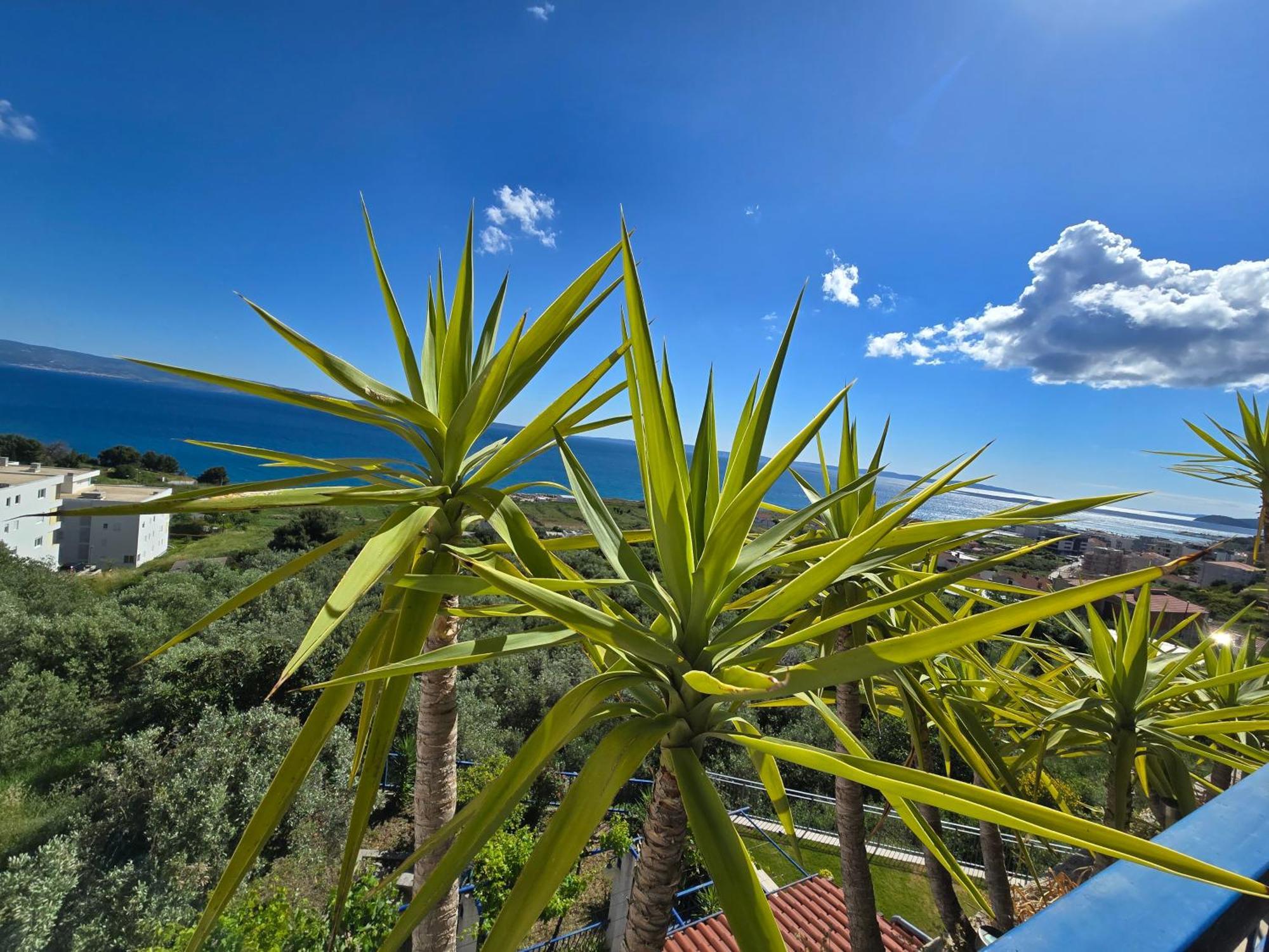 Lux Guest house 3*